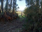Terreno Rstico - Anais, Ponte de Lima, Viana do Castelo - Miniatura: 4/4