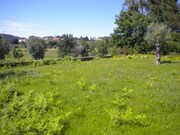 Terreno R�stico - Caba�os, Ponte de Lima, Viana do Castelo - Miniatura: 2/4