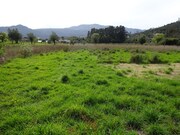 Terreno R�stico - Cabra��o e Moreira do Lima, Ponte de Lima, Viana do Castelo - Miniatura: 1/4