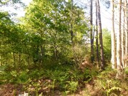 Terreno R�stico - Coura, Paredes de Coura, Viana do Castelo - Miniatura: 1/3
