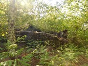 Terreno R�stico - Coura, Paredes de Coura, Viana do Castelo - Miniatura: 2/3
