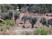 Terreno R�stico - Facha, Ponte de Lima, Viana do Castelo - Miniatura: 1/3
