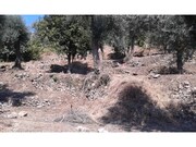 Terreno R�stico - Facha, Ponte de Lima, Viana do Castelo - Miniatura: 2/3