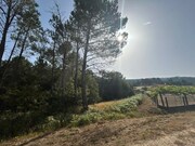 Terreno R�stico - Agualonga, Paredes de Coura, Viana do Castelo - Miniatura: 1/5