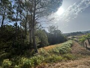 Terreno R�stico - Agualonga, Paredes de Coura, Viana do Castelo - Miniatura: 2/5