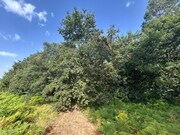 Terreno R�stico - Agualonga, Paredes de Coura, Viana do Castelo - Miniatura: 3/5