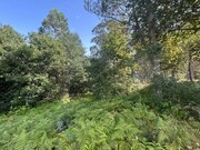 Terreno R�stico - Agualonga, Paredes de Coura, Viana do Castelo - Miniatura: 5/5