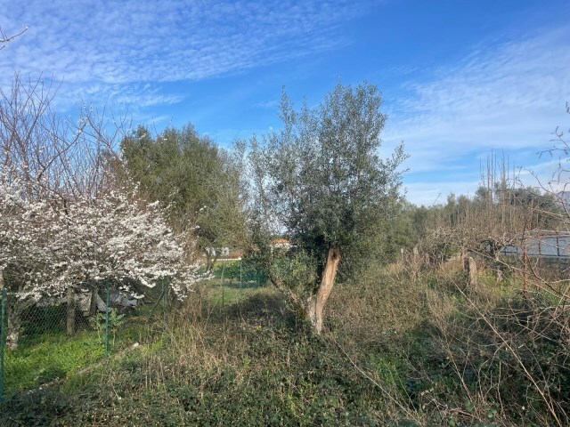 Terreno Urbano - Vitorino das Donas, Ponte de Lima, Viana do Castelo - Imagem grande