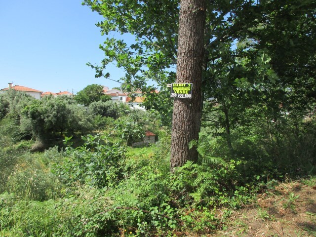 Terreno R�stico - Ribeira, Ponte de Lima, Viana do Castelo - Imagem grande
