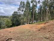 Terreno R�stico - Anais, Ponte de Lima, Viana do Castelo - Miniatura: 2/4
