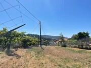 Moradia T1 - Caba�os, Ponte de Lima, Viana do Castelo - Miniatura: 9/9