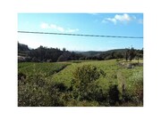 Moradia T1 - Infesta, Paredes de Coura, Viana do Castelo - Miniatura: 7/7
