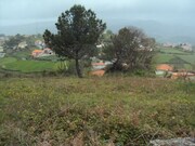 Terreno Rstico - Paredes de Coura, Paredes de Coura, Viana do Castelo - Miniatura: 1/1