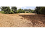Terreno R�stico - Fornelos, Ponte de Lima, Viana do Castelo - Miniatura: 1/4