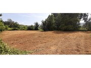Terreno R�stico - Fornelos, Ponte de Lima, Viana do Castelo - Miniatura: 2/4