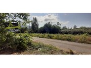 Terreno R�stico - Fornelos, Ponte de Lima, Viana do Castelo - Miniatura: 4/4