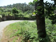 Terreno R�stico - Ribeira, Ponte de Lima, Viana do Castelo - Miniatura: 1/3