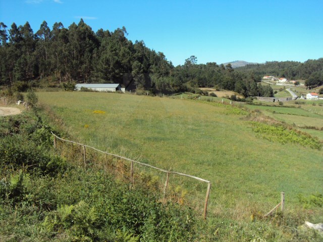 Terreno Rstico - Cunha, Paredes de Coura, Viana do Castelo - Imagem grande