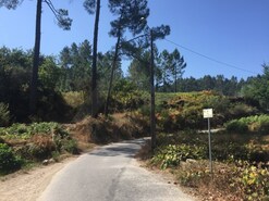 Terreno R�stico - Navi� e Vitorino dos Pi�es, Ponte de Lima, Viana do Castelo