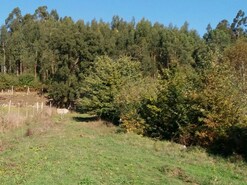 Terreno R�stico - Romarig�es, Paredes de Coura, Viana do Castelo