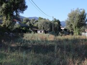 Terreno R�stico - Gandra, Ponte de Lima, Viana do Castelo - Miniatura: 6/8
