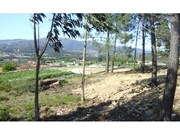 Terreno R�stico - Ribeira, Ponte de Lima, Viana do Castelo - Miniatura: 3/4
