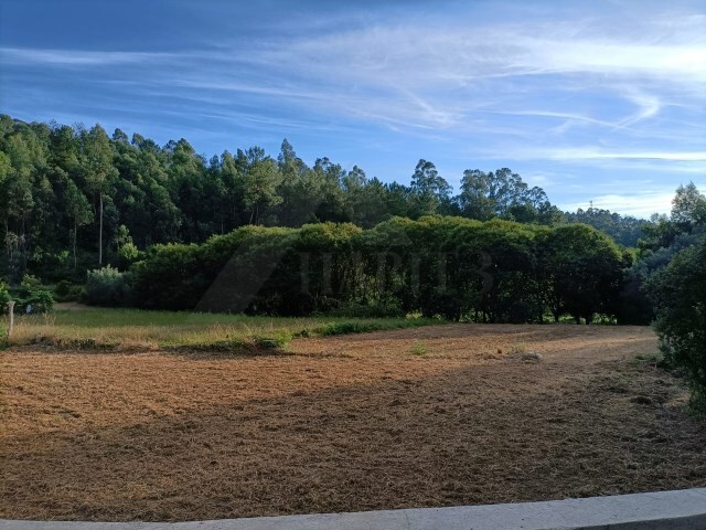 Terreno R�stico - Fornelos, Ponte de Lima, Viana do Castelo - Imagem grande