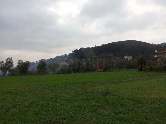 Terreno R�stico - Serdedelo, Ponte de Lima, Viana do Castelo - Imagem grande