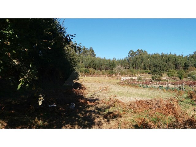 Terreno R�stico - Romarig�es, Paredes de Coura, Viana do Castelo - Imagem grande
