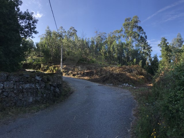 Terreno R�stico - Seara, Ponte de Lima, Viana do Castelo - Imagem grande