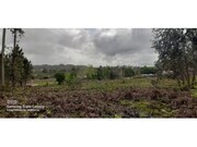 Terreno Rstico - Rebordes de Souto, Ponte de Lima, Viana do Castelo - Miniatura: 4/8