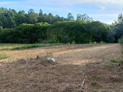 Terreno R�stico - Fornelos, Ponte de Lima, Viana do Castelo - Miniatura: 2/7