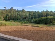 Terreno R�stico - Fornelos, Ponte de Lima, Viana do Castelo - Miniatura: 3/7