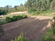 Terreno R�stico - Fornelos, Ponte de Lima, Viana do Castelo - Miniatura: 5/7