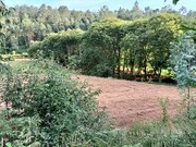 Terreno R�stico - Fornelos, Ponte de Lima, Viana do Castelo - Miniatura: 7/7