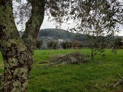 Terreno R�stico - Serdedelo, Ponte de Lima, Viana do Castelo - Miniatura: 3/5