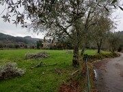 Terreno R�stico - Serdedelo, Ponte de Lima, Viana do Castelo - Miniatura: 5/5