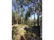 Terreno R�stico - Seara, Ponte de Lima, Viana do Castelo - Miniatura: 1/2