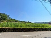 Terreno R�stico - Infesta, Paredes de Coura, Viana do Castelo - Miniatura: 1/5