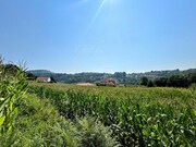 Terreno R�stico - Infesta, Paredes de Coura, Viana do Castelo - Miniatura: 2/5
