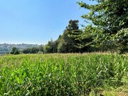 Terreno R�stico - Infesta, Paredes de Coura, Viana do Castelo - Miniatura: 5/5