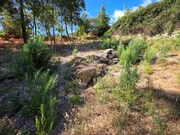 Terreno R�stico - Cabra��o e Moreira do Lima, Ponte de Lima, Viana do Castelo - Miniatura: 5/7