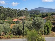 Terreno R�stico - Cabra��o e Moreira do Lima, Ponte de Lima, Viana do Castelo - Miniatura: 7/7