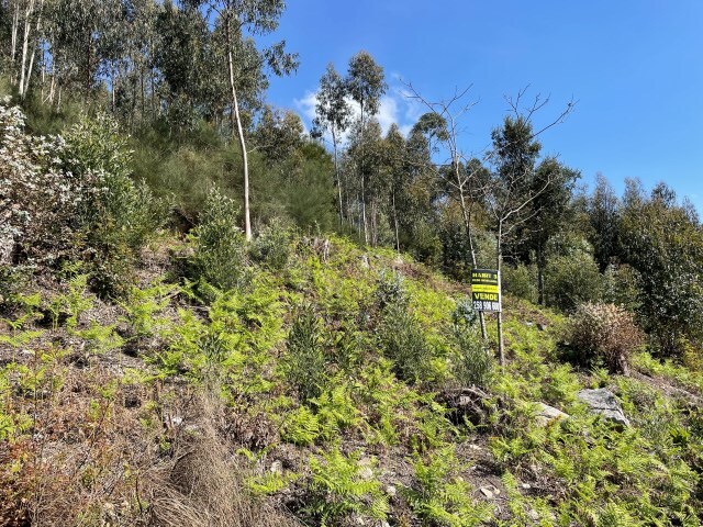 Terreno R�stico - Cabra��o e Moreira do Lima, Ponte de Lima, Viana do Castelo - Imagem grande