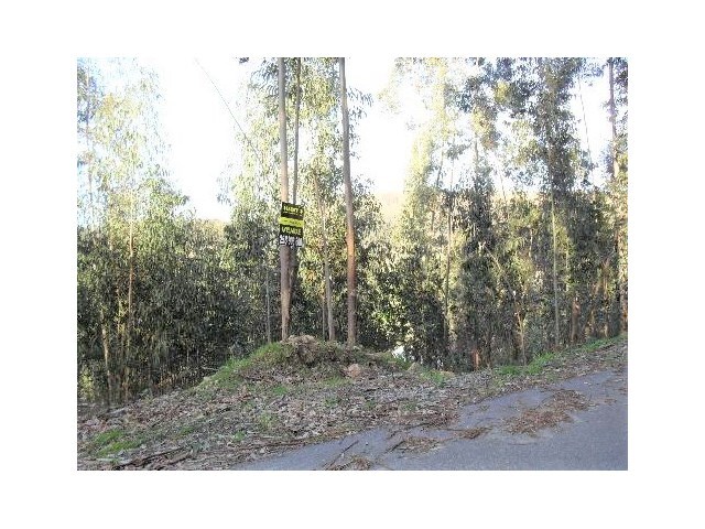 Terreno R�stico - Serdedelo, Ponte de Lima, Viana do Castelo - Imagem grande