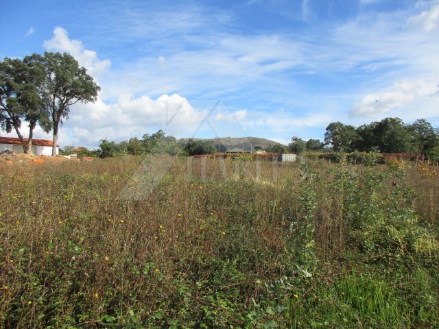 Terreno R�stico - Fornelos, Ponte de Lima, Viana do Castelo - Imagem grande