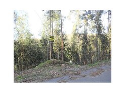 Terreno R�stico - Serdedelo, Ponte de Lima, Viana do Castelo