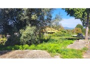 Terreno Urbano - Arca, Ponte de Lima, Viana do Castelo - Miniatura: 3/4