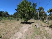 Terreno R�stico - Gandra, Ponte de Lima, Viana do Castelo - Miniatura: 6/9
