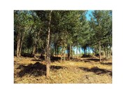 Terreno R�stico - Mozelos, Paredes de Coura, Viana do Castelo - Miniatura: 3/5
